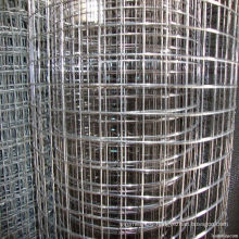 Electro Hot Galvanized Welded Wire Mesh